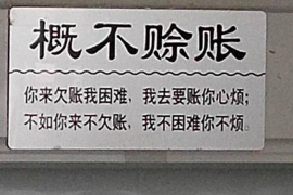 屯昌专业催债公司的市场需求和前景分析