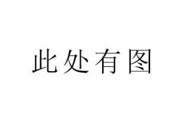 屯昌如何避免债务纠纷？专业追讨公司教您应对之策